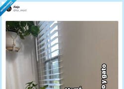 Enlace a Los padres no tenemos esas complicaciones, por @bjs_alejo2