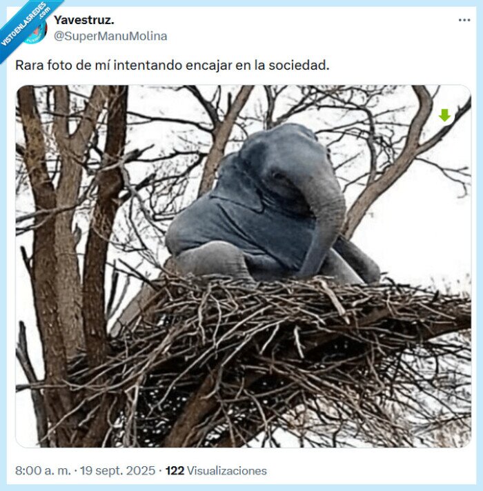 encajar,sociedad,foto
