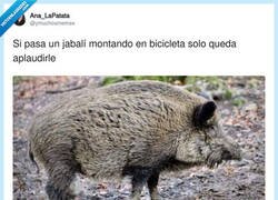 Enlace a A mí también me interesa, por @ymuchosmemes