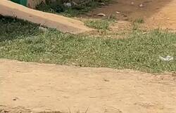 Enlace a Niños en Laos ven a una pelirroja blanca por primera vez y es como si fuera el demonio