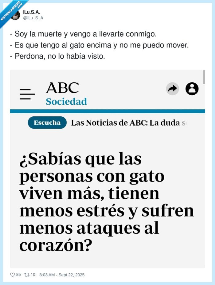 llevarte,muerte,gato,vivir más,estrés