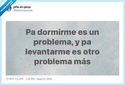 Enlace a Mi vida es un problema, por @skereunpesado