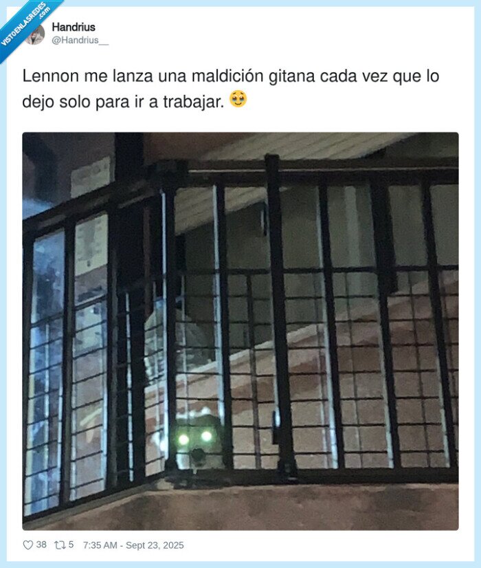 maldición,trabajar,lennon,perro,trabajo,despedirse