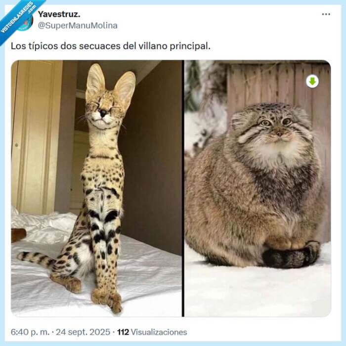 secuaces,villano,gordo,delgado