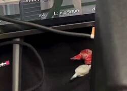 Enlace a De locos: Se despide de su amante y segundos después aparece su marido cornudo con flores