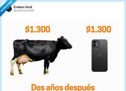 Enlace a Vaca gana, por @emilianosordiOK