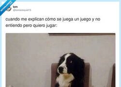 Enlace a Y te da vergüenza preguntar, por @tomiezequiel15