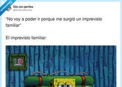 Enlace a Shhhht no se lo digáis a nadie, por @DiloConPerritos