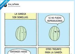 Enlace a La sandía rencorosa, por @ymuchosmemes
