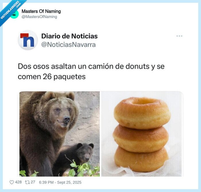 donuts,asalto,osos