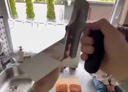 Enlace a Adaptarse al medio le llaman, por @EstebanNavarroS