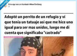 Enlace a La cara de tonto ya la llevaba de serie, por @ExperimentScorn