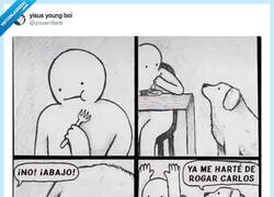 Enlace a Mi perro me ha pasado este meme, por @yisuscribete