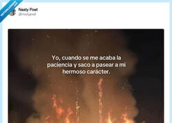 Enlace a Que nadie me diga nada, por @nxstypxet