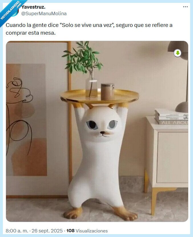 mesa,vivr,comprar,gato