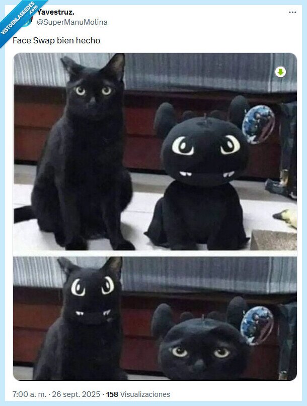 face swap,cómo entrenar a tu dragón,gato,caras
