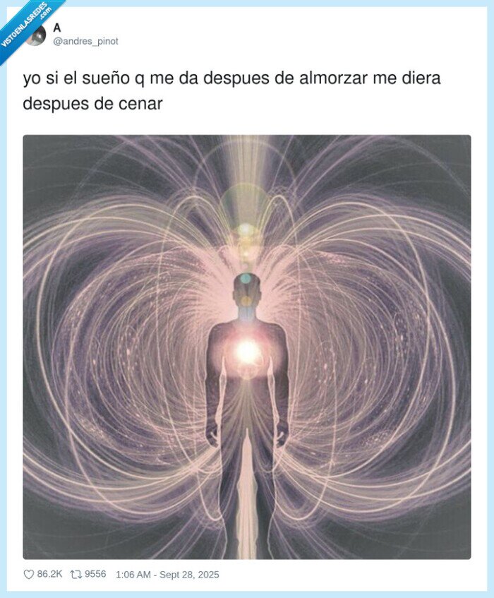 almorzar,despues,sueño,cenar