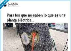 Enlace a Planta eléctrica, por @ymuchosmemes