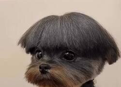 Enlace a No se me podría ocurrir mejor nombre, por @pipa417