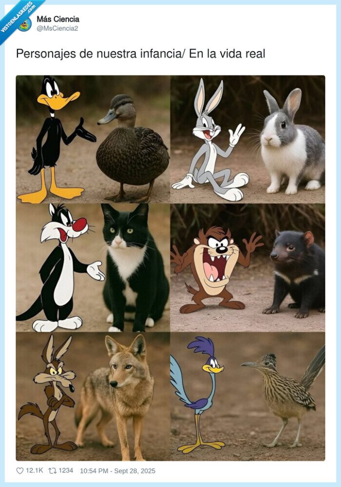 personajes,infancia,vida real,looney tunes