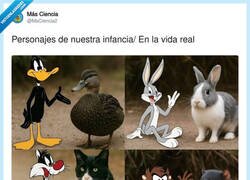 Enlace a Oldschool, por @MsCiencia2