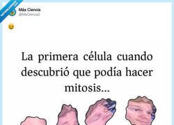 Enlace a La mitosis bien explicada, por @MsCiencia2