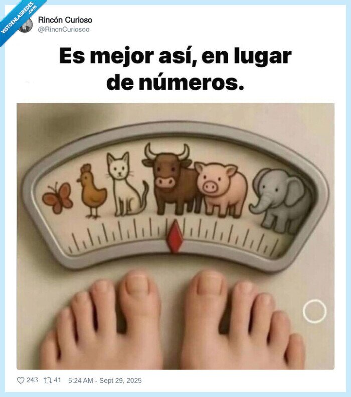 báscula,pesarse,animales