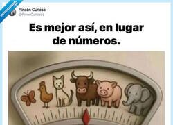 Enlace a Da menos susto, por @RincnCuriosoo