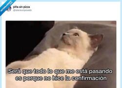 Enlace a HOSTIA pues es verdad, por @skereunpesado