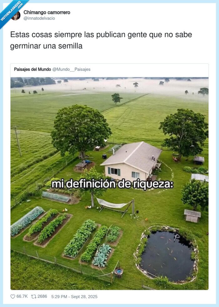 germinar,semilla,casa