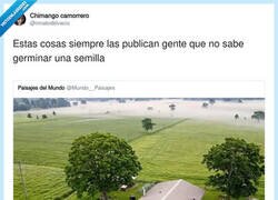 Enlace a No durarían ni un mes ahí, por @innatodelvacio
