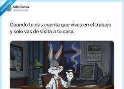 Enlace a No puedo más con la carrera de la rata, por @MsCiencia2