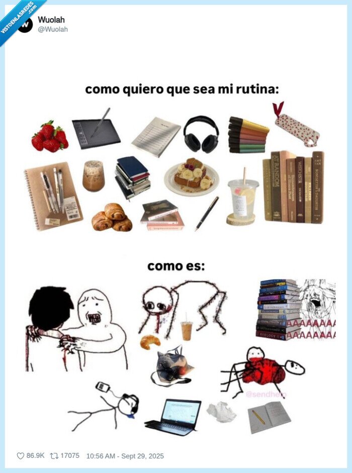 rutina,desastre,orden,desorden