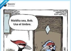 Enlace a El problema no es Bob, es la fianza del alquiler, por @Chiribeje