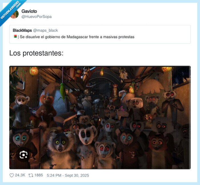 madagascar,protestantes,monos