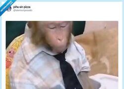 Enlace a Esperando mi pensión, por @skereunpesado