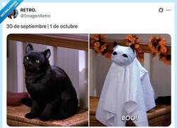 Enlace a BOO, por @ImagenRetro