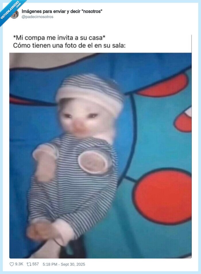 amigo,bebé,casa,fotos