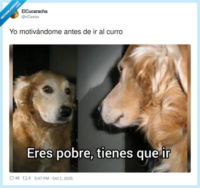 motivándome,pobre,ir,curro