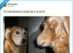 Enlace a No hay más, por @xCesiox