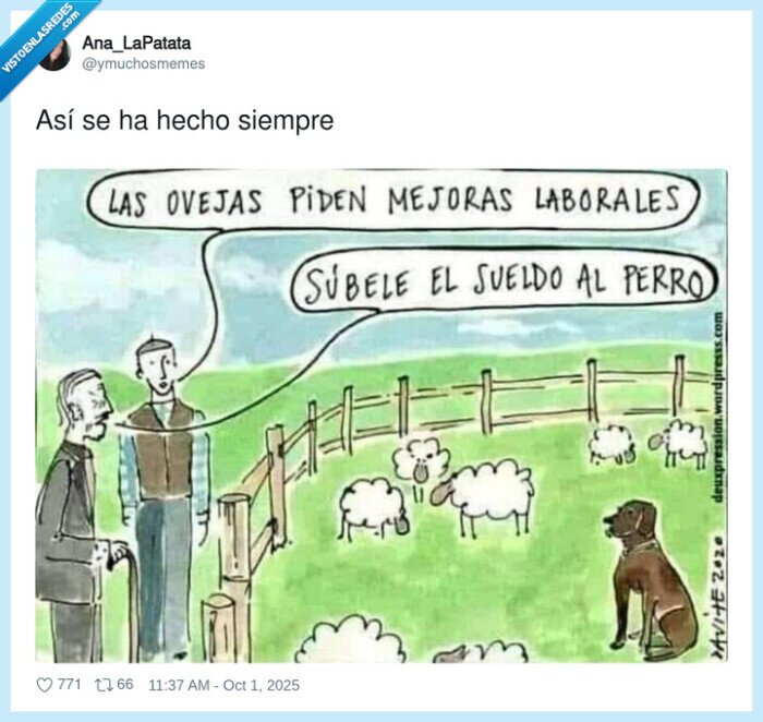 perro,ovejas,aumento,sueldo