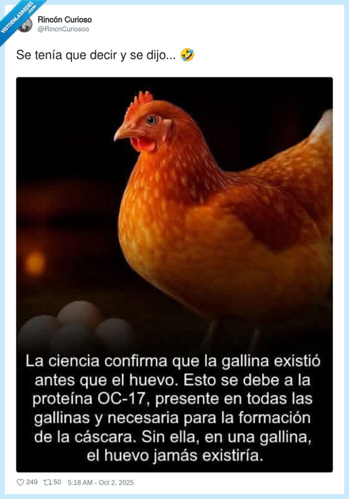 gallina,huevo,antes