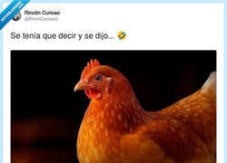 Enlace a La gallina existió antes que el huevo, por @RincnCuriosoo