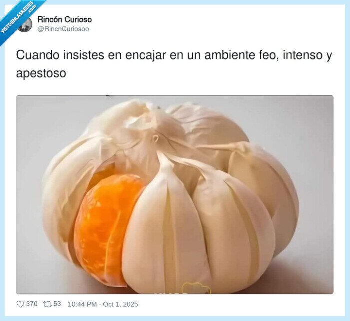 ambiente,encajar,ajo,gajo,mandarina