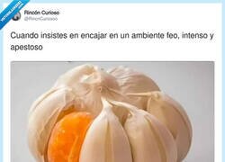 Enlace a Haz lo que puedas, por @RincnCuriosoo