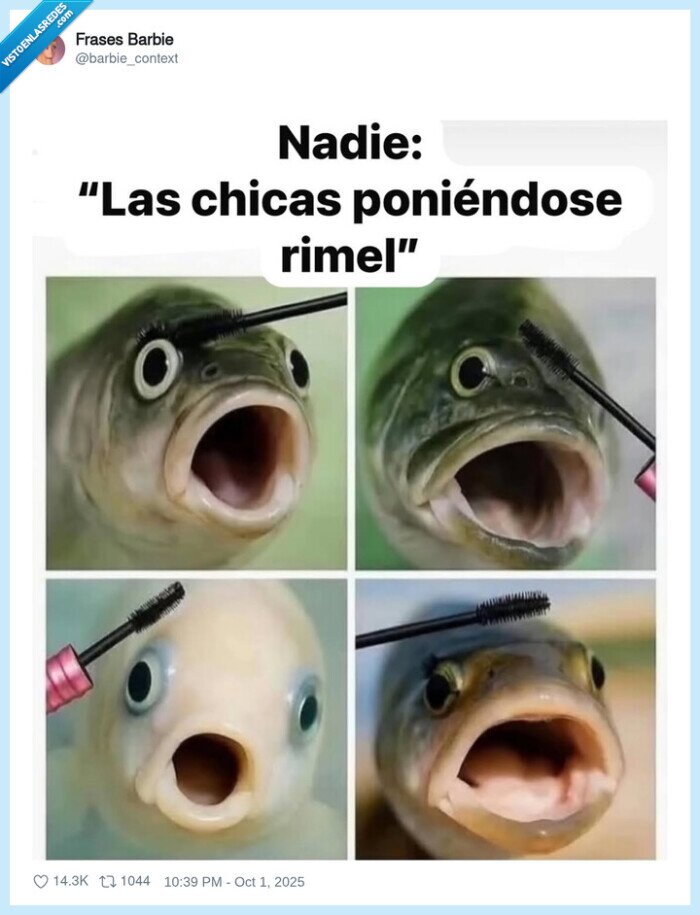 rimmel,peces,pintarse,ojos
