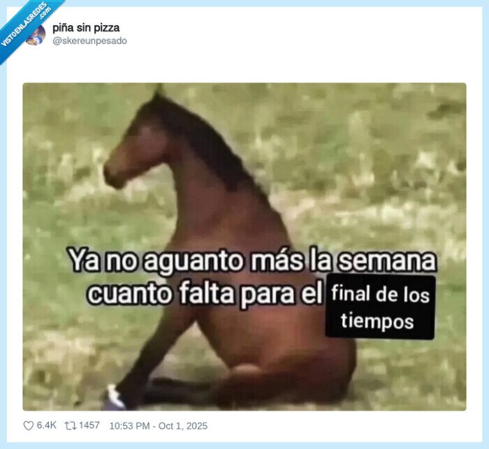 caballo,esperar,semana