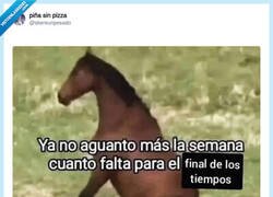 Enlace a Ánimo que mañana ya es viernes, por @skereunpesado