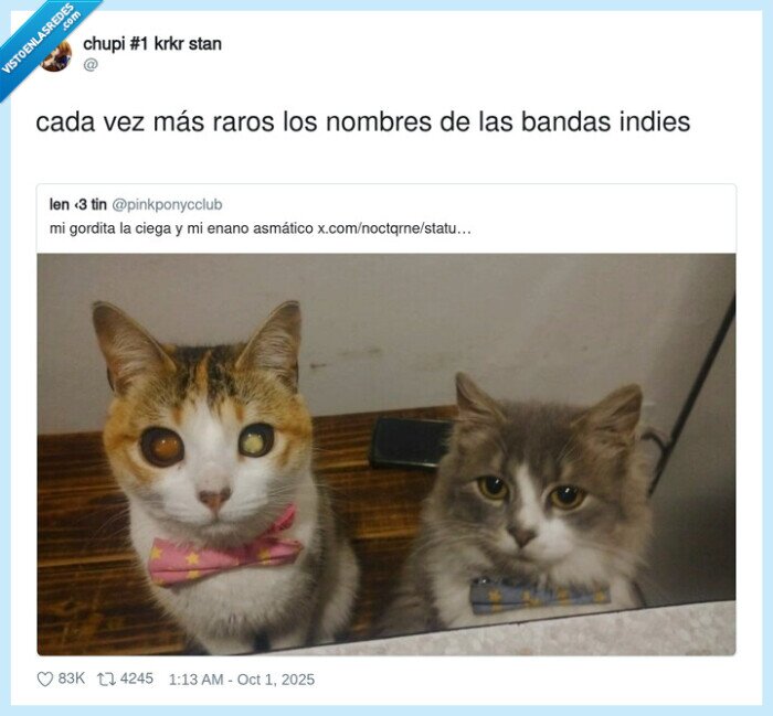 gatos,enfermedades,malitos,nombres