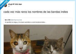 Enlace a Mi gordita la ciega y mi enano asmático, por @ojosescarlatas